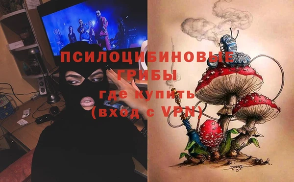 spice Киров
