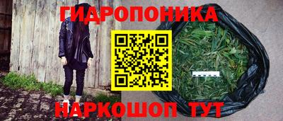 стафф Гатчина